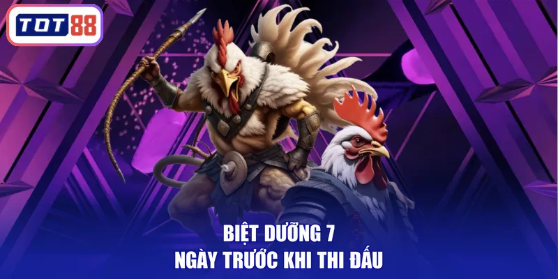 Biệt dưỡng 7 ngày trước khi thi đấu